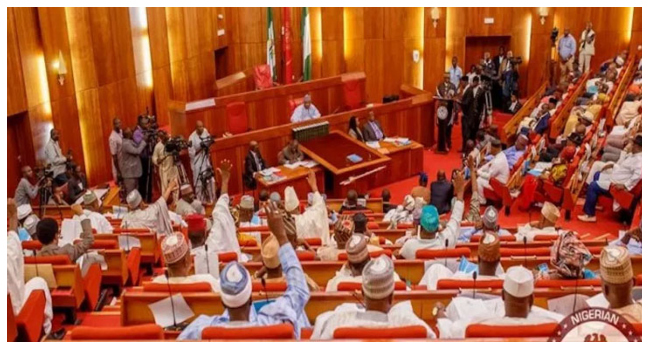 Senate Calls for State of Emergency on Girl-Child Protection