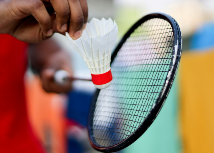 Indian Embassy Pledges Support for FCT Badminton