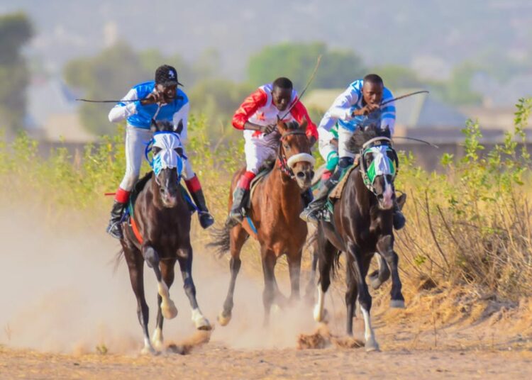 Tinubu’s Horse Wins Big at Yola Derby