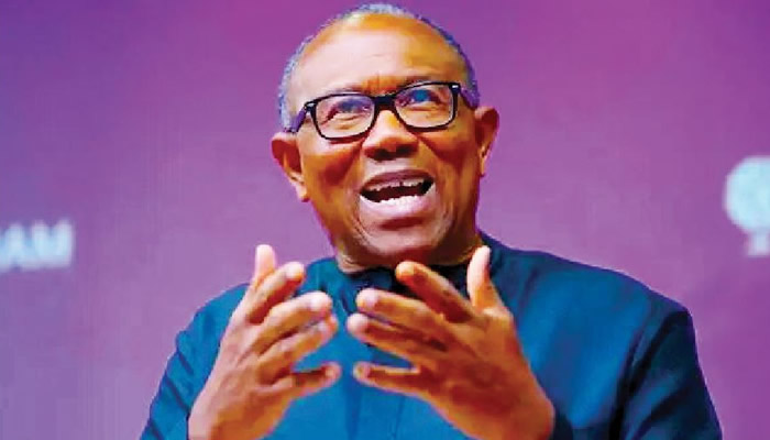 Ex-IPAC Chair Predicts Decline in Peter Obi’s Influence