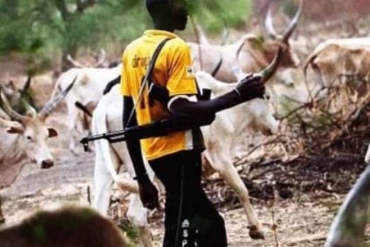 Suspected Herders Kill Two in Edo