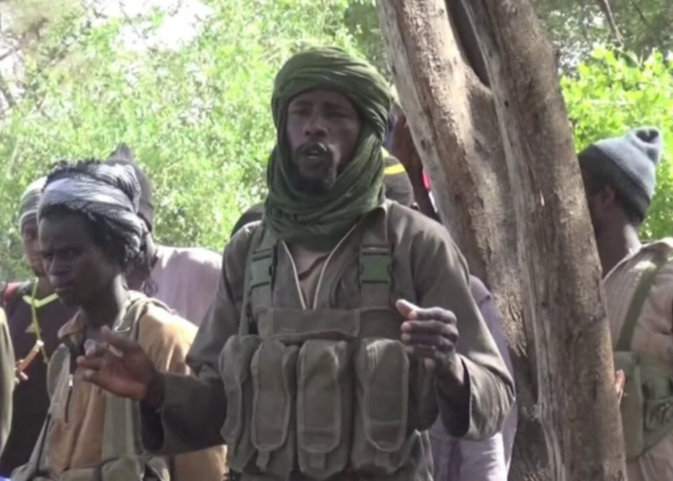 Boko Haram/ISWAP Terrorists Free 11 Hostages