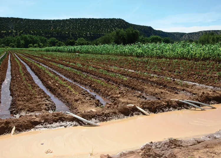 Farmers Warned Against Early Planting